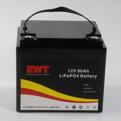 주문 장시간 충전 가능 12v 60ah 768wh lifepo4 배터리 스쿠터 E-바이크 골프 자동차 online manufacture
